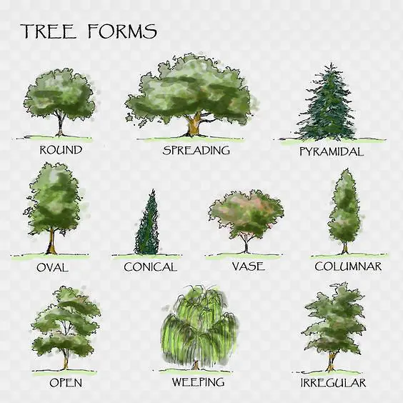 ��-������