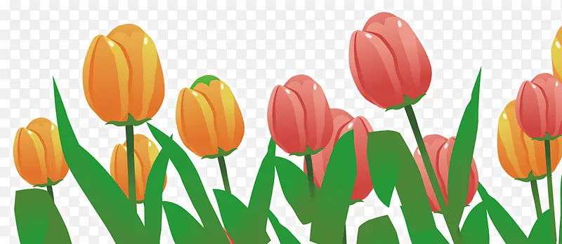 �ֻ��ʦ�ڿ���Ԫ�ػ���Ч��-������