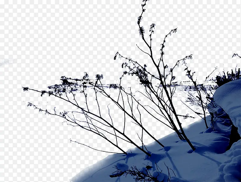 ������Ӱ�����ѩ��������ľ-������