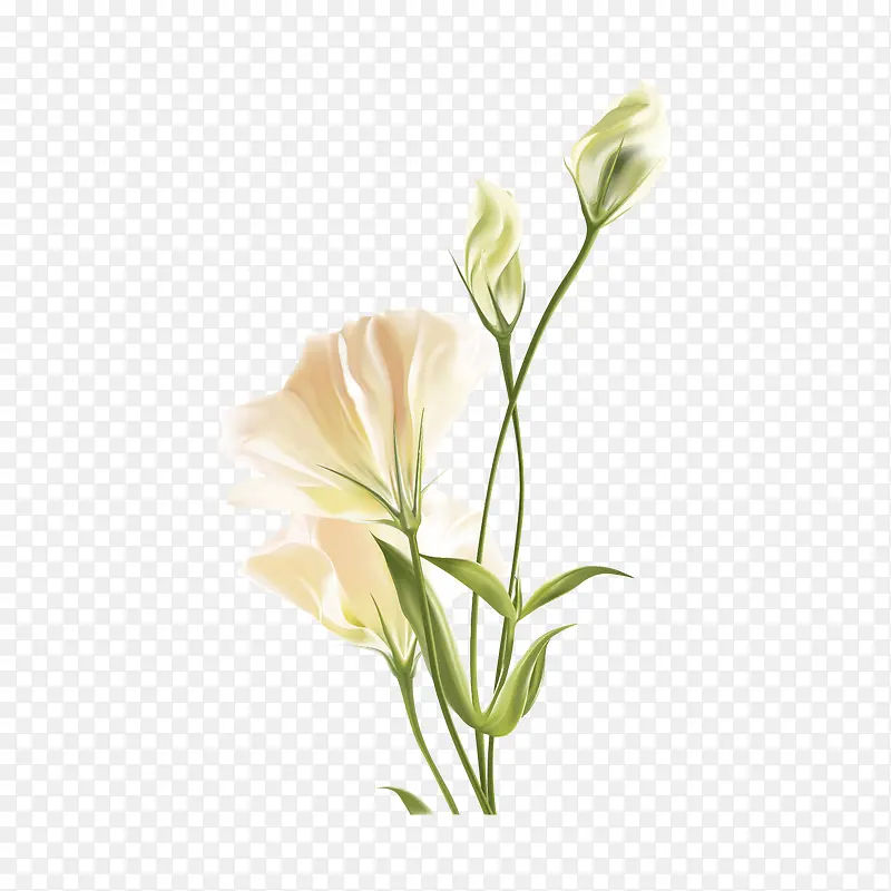 ʸ�������ɫ�Ļ�-������