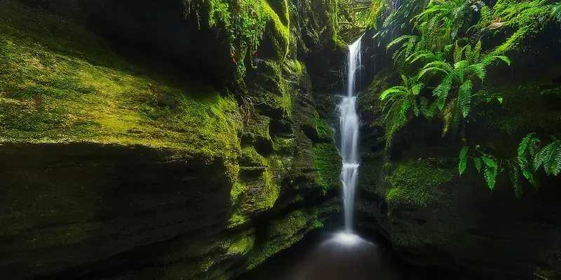 ������ˮ��֦����-������