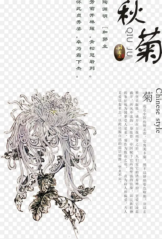 �ջ�������-������