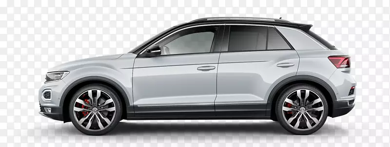 ����t-Roc�����������ܴ��������ص�г-������