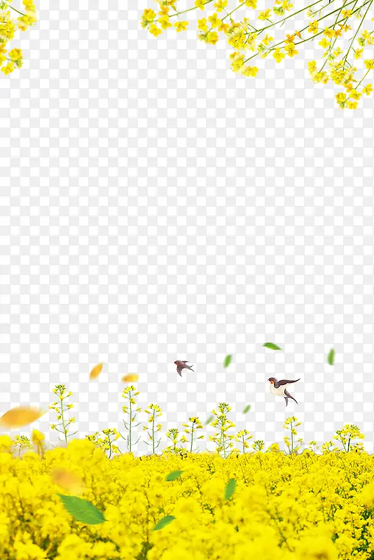 �����Ͳ˻�װ�α߿�-������