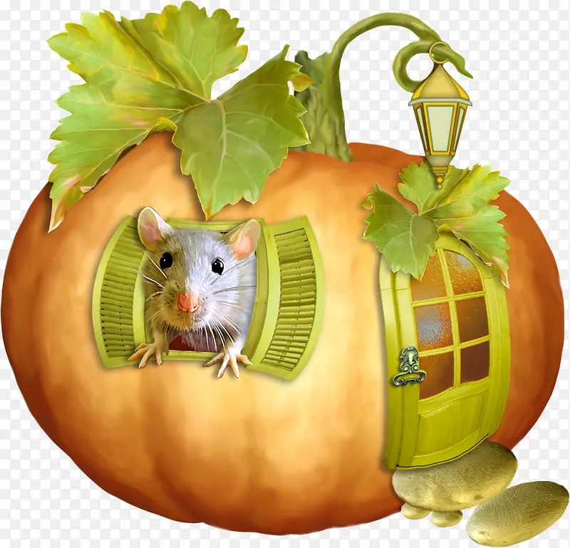 �߲�ʸ��ͼ�ֻ��߲��ز�-������