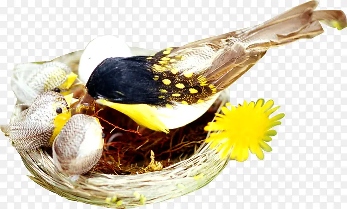 �ֻ�С��ιʳ�廭-������