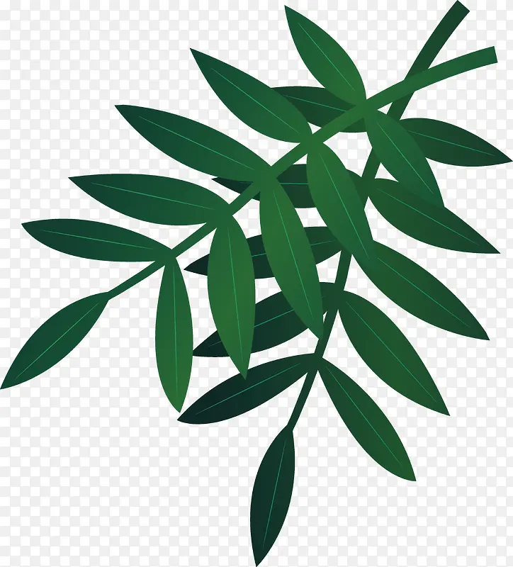 ʸ���ֻ���֦��Ҷ�ز�-������