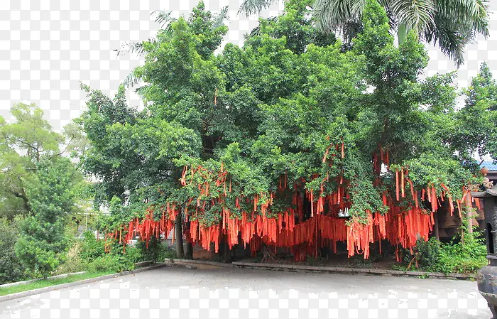 ��Ը����ɫ-������