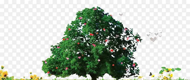 �����е���Ը��-������