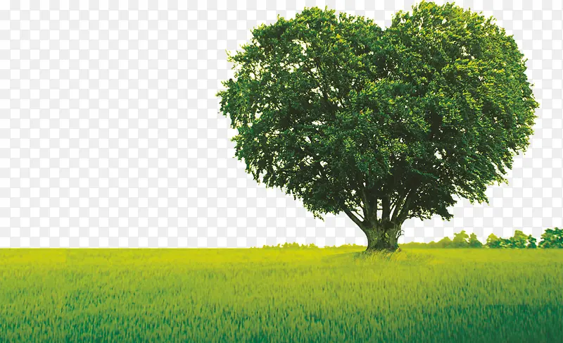 ������ԭ-������