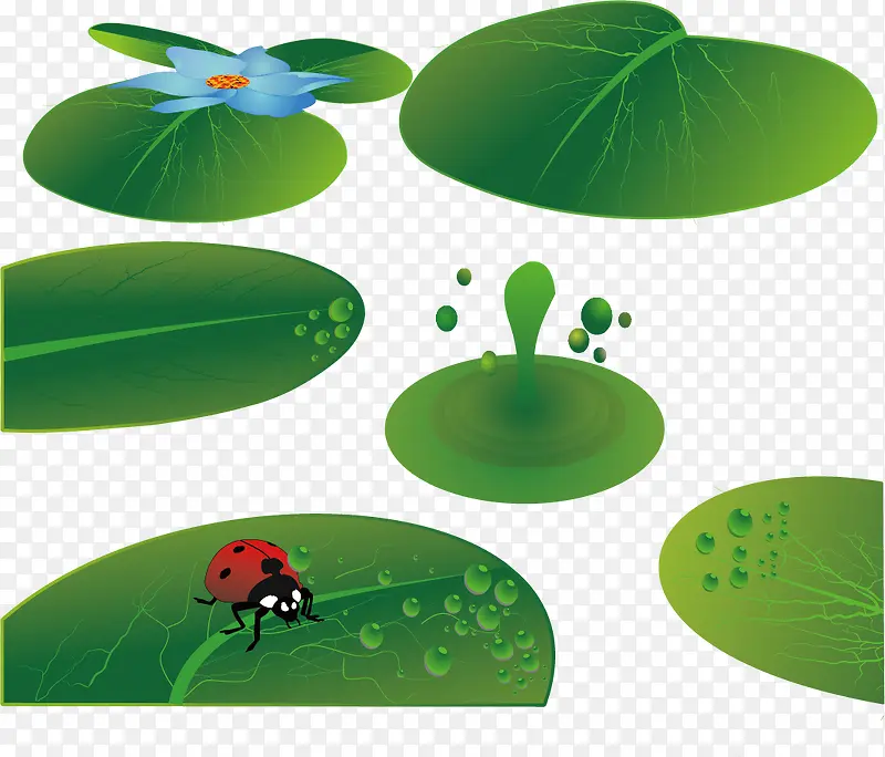 ��ͨ��Ҷ�زģ��Ա��زģ���ɫ��-������