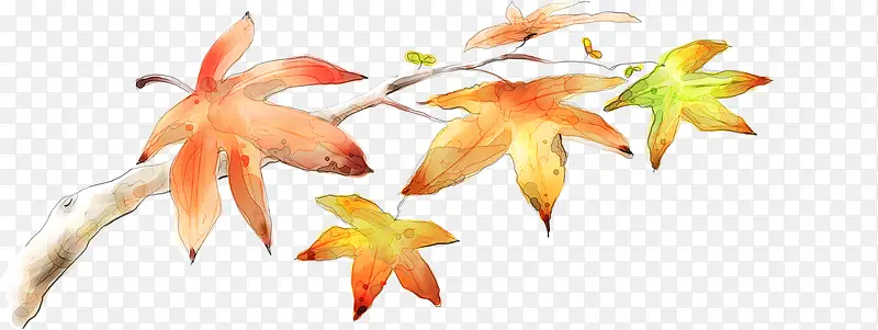 �ֻ�������Ҷ������֦-������