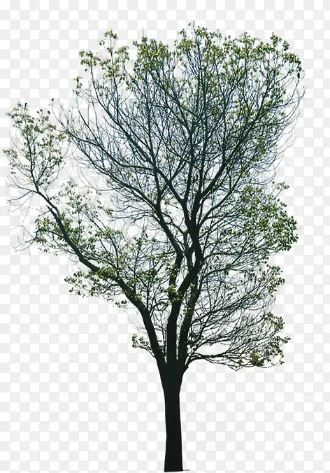 ������ɪ��������-������