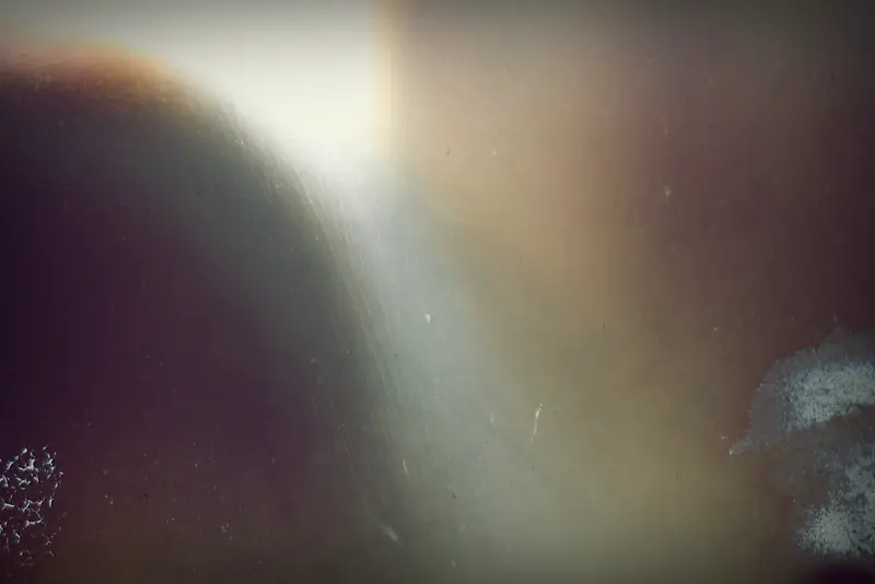 ���ɻ��ձ���-������