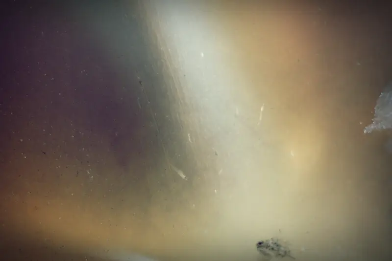 ���ɻ��յ��Ʊ���-������