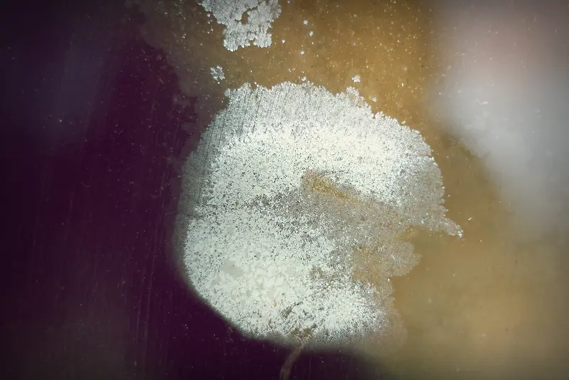 �ղ�����-������