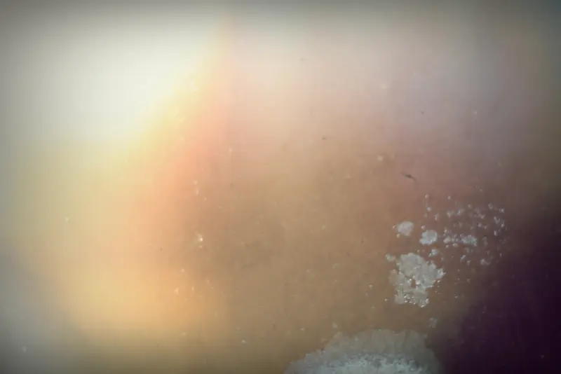 ���ƻ��ձ���-������