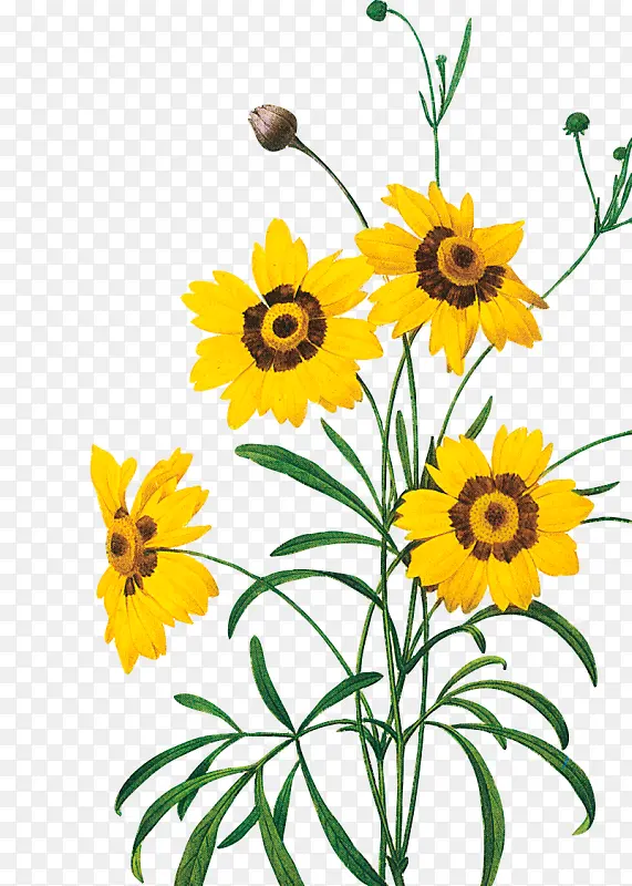 �����زĻ�������ز�-������