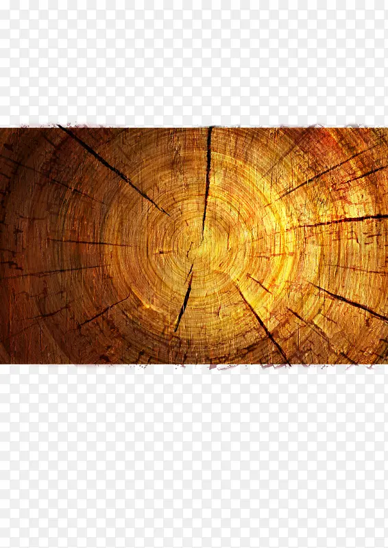 ��������-������