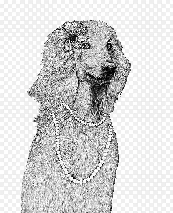 �ڰײ廭���幷-������