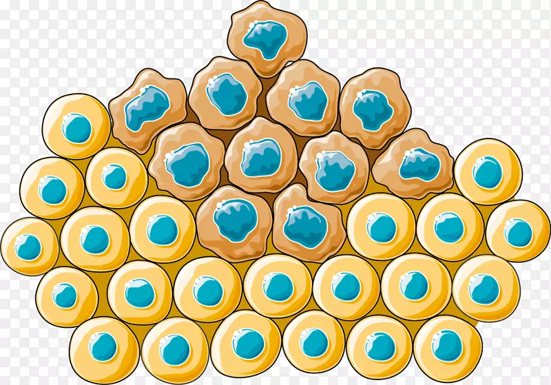 ������tϸ����ϸ������tϸ����-������