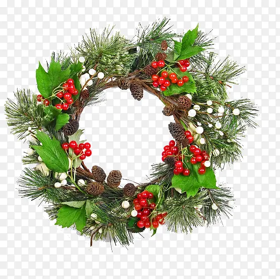 ʵ��ʥ����Ȧ����������Ҷ-������