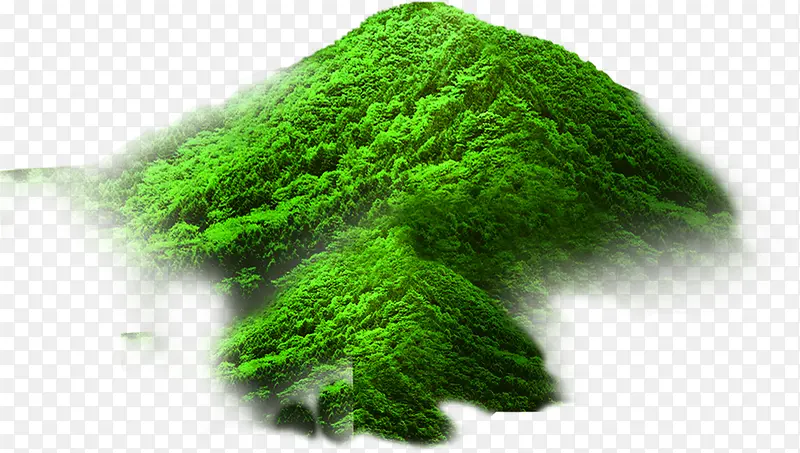 ����������ɽ����-������