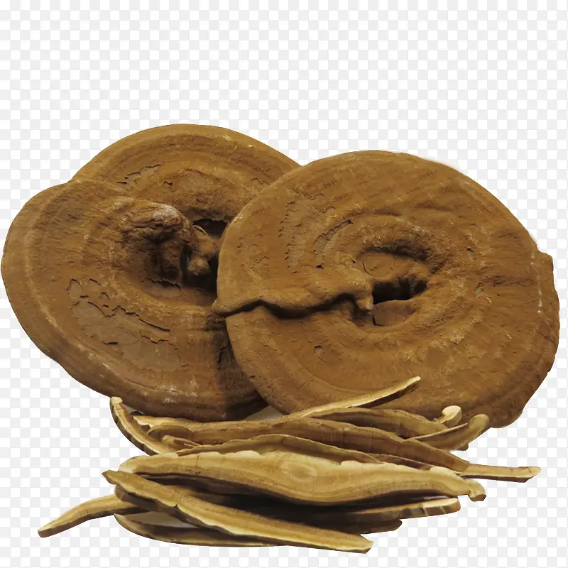 ����֥-������