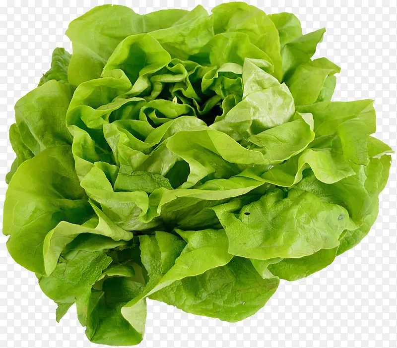 �߲˼�ͼ-������