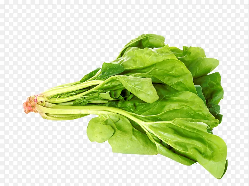 ��ɫ�߲�-������