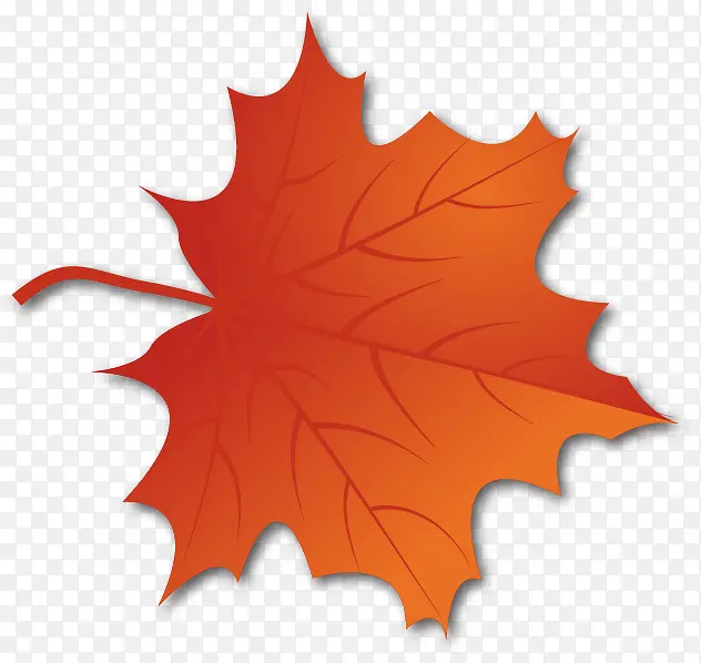 ��ɫ�ķ���Ҷʸ������ز�-������