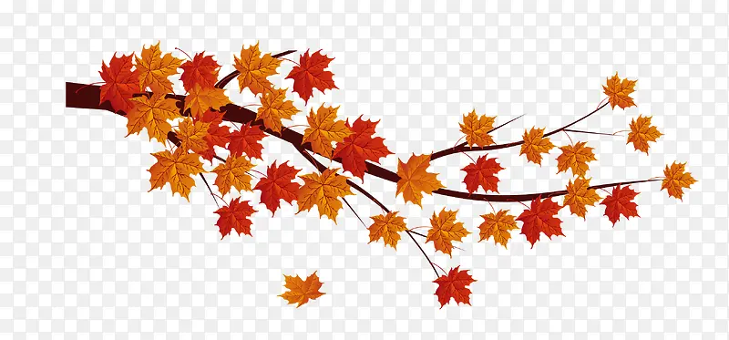 ������֦-������