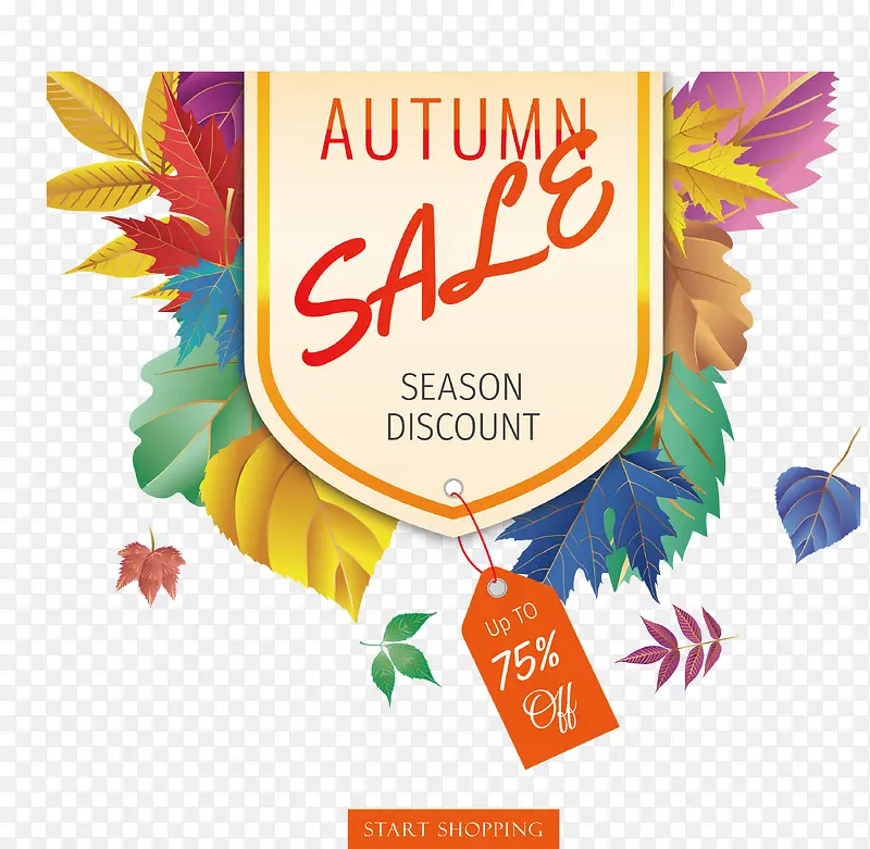 ��ɫ��Ҷ���ۺ���-������