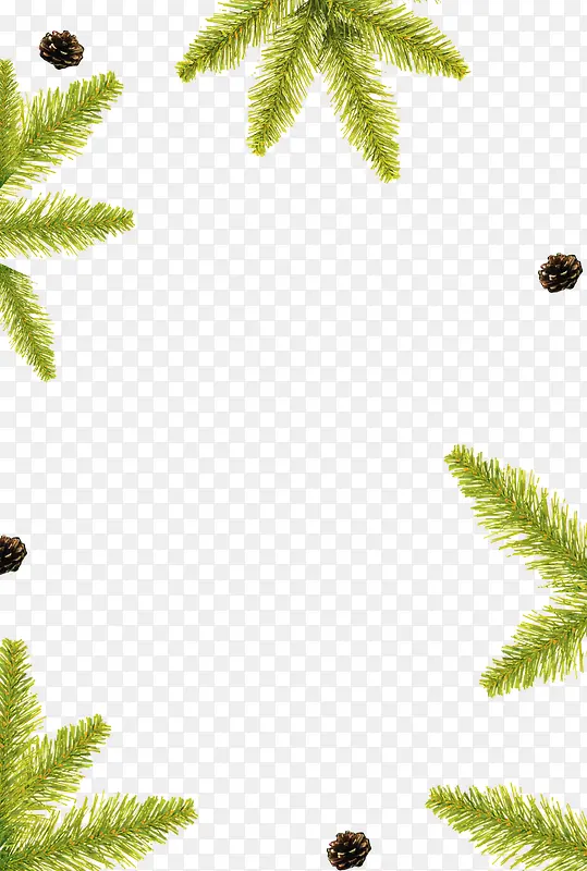 ��ɫֲ���ز�-������