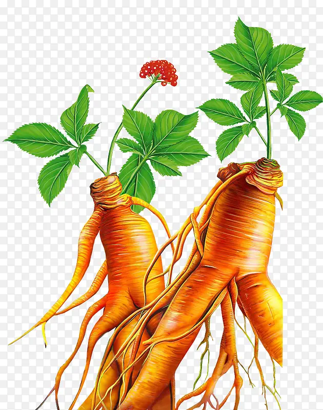 �ֻ��˲�-������