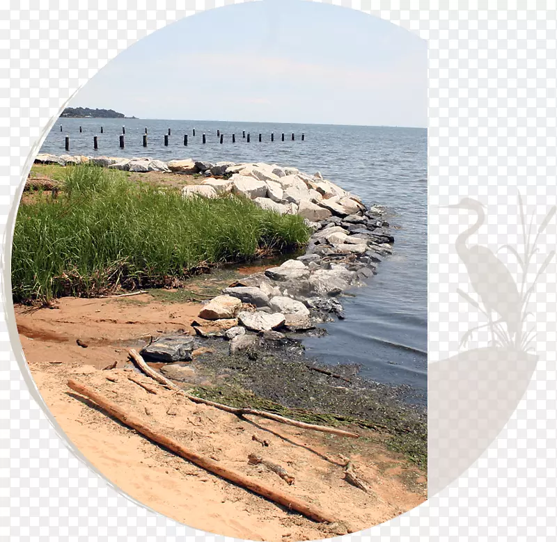 2018��µ�a6���޸���˾InvisionBoatworks�������ι�˾-��Ȼ����-������