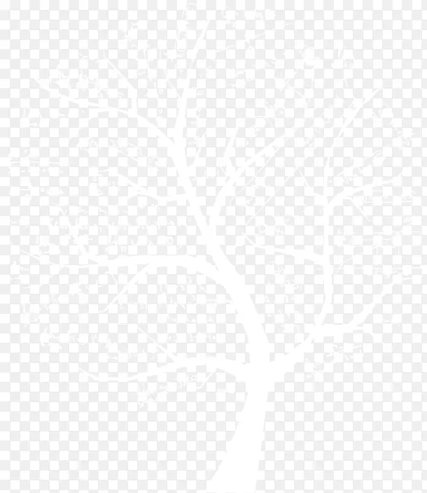 ������ѧ����ʽ��ͼƬ-������