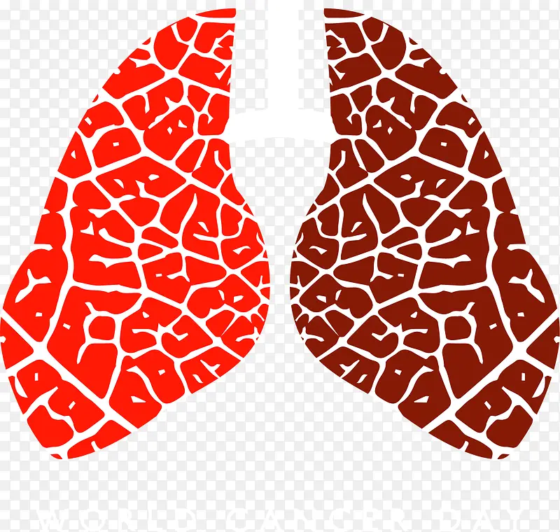 ���簩֢������-������