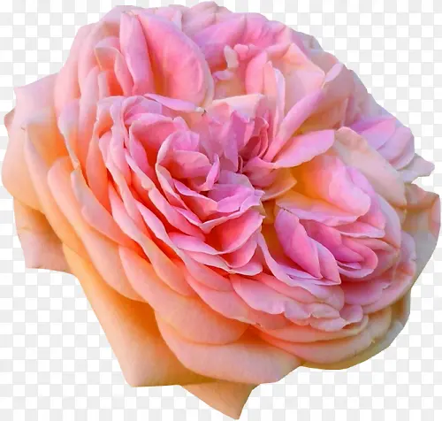 ʸ�������ز�װ�ο�ͨ-������