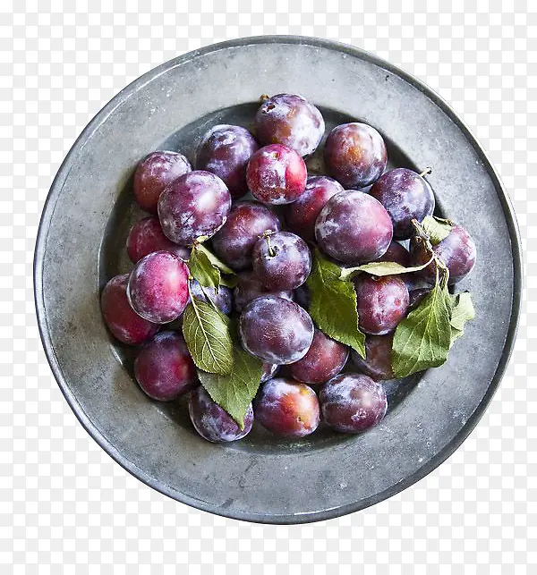 ��ɫ����-������