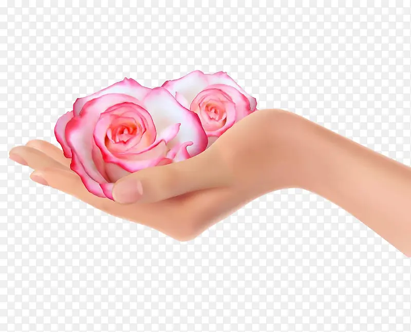 �ֲ�-������