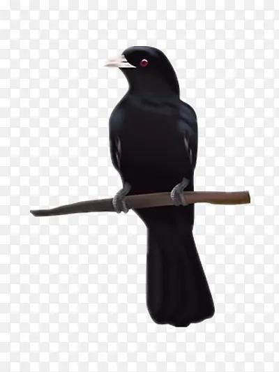 ��ѻ-������