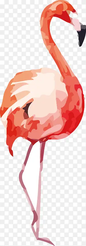 ˮ�ʻ�����-������