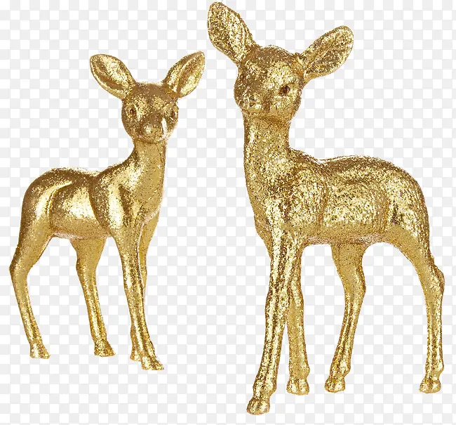 ʥ���ڿ�Ƭ-������