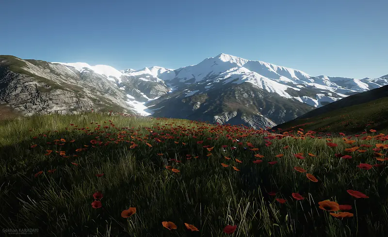 ������Ӱѩɽ���-������