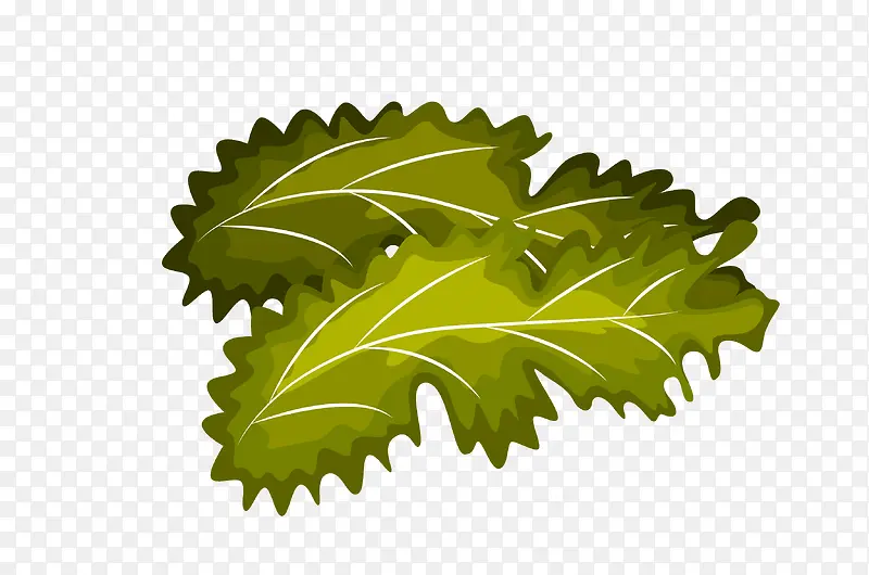 ʸ����ͨ�߲�png-������