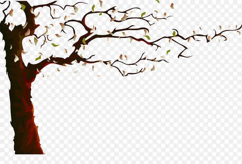 ��ѿ�Ĵ���-������