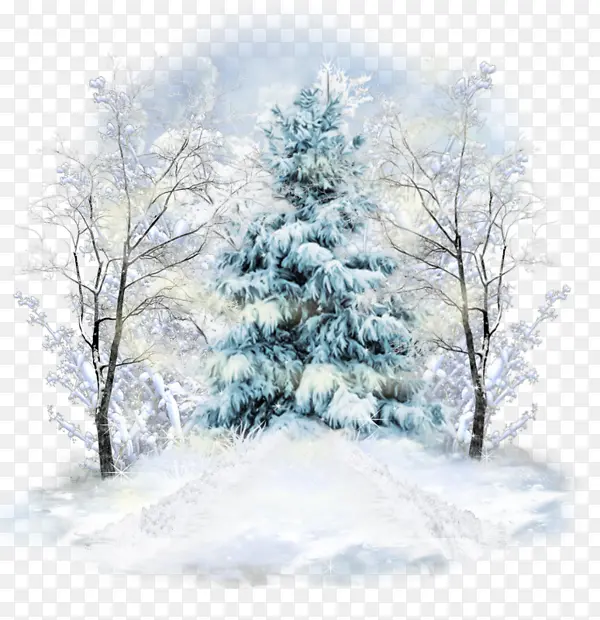 �ʻ�С��-������