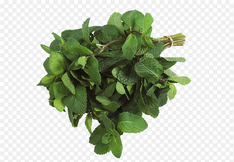 �������ͼ��-������