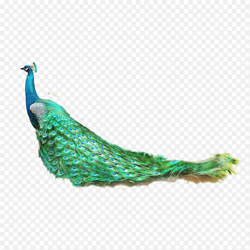 ��ȸ-������